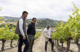 Mersin’de üreticilere damlama sulama sistemi anlatılıyor