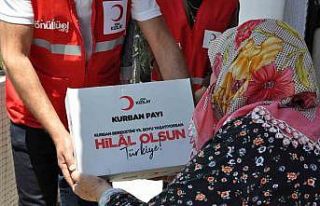 MHP Lideri Bahçeli kurban vekaletini Türk Kızılay’a...