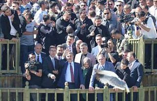 Milli Eğitim Bakanı Tekin, inci kefali göçünü...