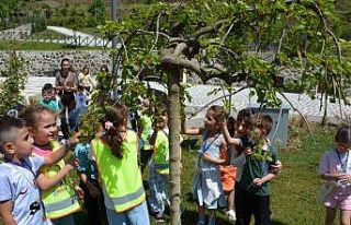 Minik öğrenciler doğayla tanıştı