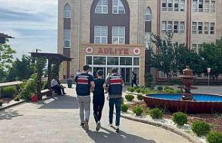 Motosikletle telef olan köpeği sürükleyen şahıs...