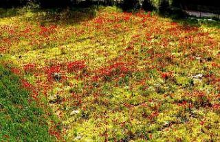 Muğla’nın sessiz güzelliği