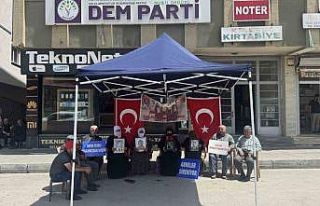 Muş’ta evlat nöbetini sürdüren aileler, terörsüz...