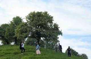 Muş’un 110 bin ahlat ağacı görsel şölen sunuyor