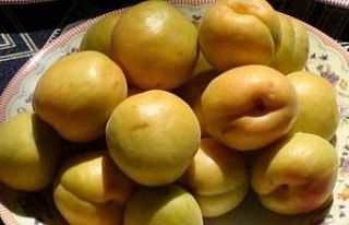 Mut Karacaoğlan Kayısı Kültür ve Sanat Festivali...