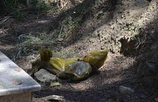 Naylon poşete sarıp Turgutlu mezarlığına attılar