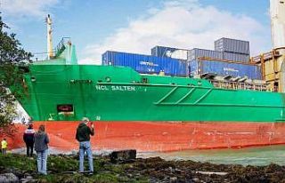 Norveç’te dev kargo gemisi kıyıdaki evin bahçesine...