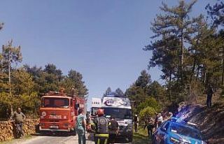 Odun sterine çarpan otomobil takla attı