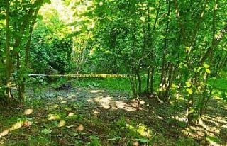 Ordu’da yaşlı adam, fındık bahçesinde ölü...