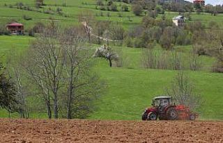 Ordu’nun atıl arazileri bereketleniyor: 34 bin...