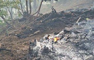 Orman yangını sürüyor: Ekipler 5 helikopter ve...