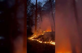 Ormanlık alana düşen yıldırım yangına neden...
