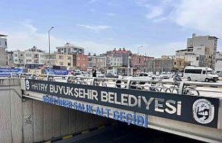 Ortadan kaybolmalarıyla merak uyandıran "T"...