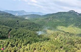 Osmaniye’de ormanlık alanlara girişler yasaklandı