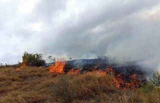 Otluk alanda çıkan yangın ormana sıçramadan söndürüldü