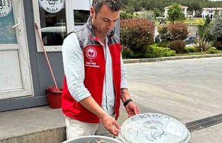 Otobüsün bagajında çöp kovasında taşınan 100...