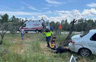 Otomobil zeytinliğe uçtu