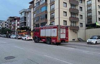 Otomobilin motoruna giren kedi, yaklaşık 2 saat...