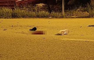 Otomobille kafa kafaya çarpışan motosiklet sürücüsü...