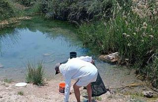 (ÖZEL) Tarihi hamam kalıntıları arasındaki süs...