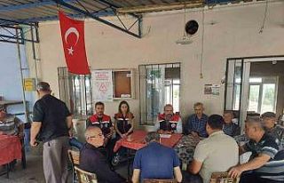 Pamuk ve zeytindeki zararlılarla mücadele yöntemi...