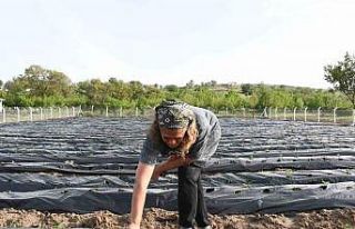 Pandemi günlerinde Ankara’yı terk etti, memleketinde...