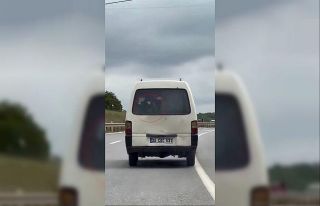 Panelvanın arkasında buzağı taşıdı