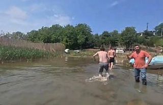 Pedallı kanodan düşen 3 kişi ölümün kıyısından...