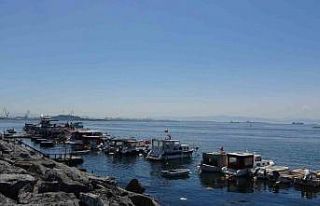 Pendik’te balıkçılara sürpriz: Oltaya köpek...