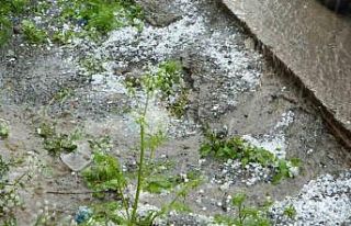 Posof’ta dolu etkili oldu