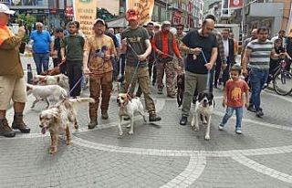 Profesyonel avcılar Devrek’te buluştu