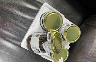 Rize’nin çayı ballandı