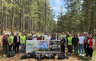 Saimbeyli ormanlarında temizlik yapıldı