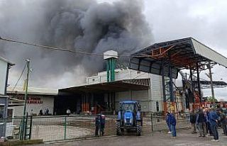 Sakarya’da fabrika yangını