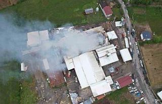 Sakarya’da fındık kırım fabrikasındaki yangın...