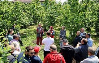 Sakarya’da kahverengi kokarca kabusuyla mücadele...