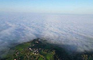 Sakin şehirde sis güzelliği