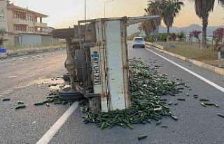 Salatalık yüklü kamyonet devrildi: Salatalıklar...