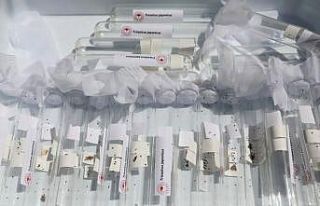 Salihli’de 3 bin ‘Samuray Arıcığı’ doğaya...