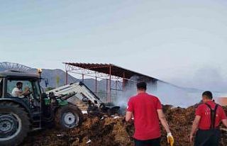 Samanlık yangını büyümeden söndürüldü