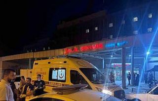 Şanlıurfa’da 4 kuzenin öldüğü arazi kavgasında...