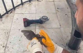 Şanlıurfa’da demir boruya sıkışan kırlangıç...