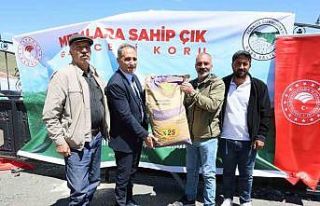 Sarıkamış’ta korunga tohumu dağıtıldı