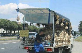 Sarımsak satıcısının tehlikeli yolculuğu