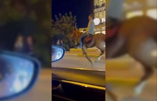 Şehrin göbeğinde dörtnala giden atı gören dönüp...