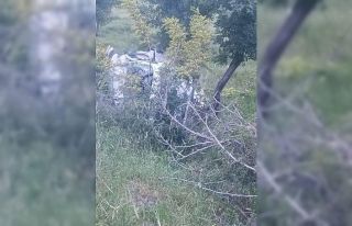 Siirt’te otomobil devrildi: 1  yaralı