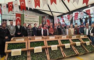 Silivri’de üreticiye 614 bin fide ve 4 ton tohum...