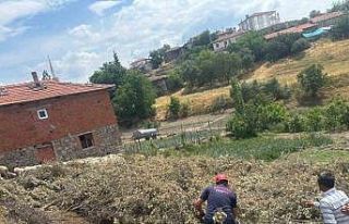 Sındırgı’da koyun damı çöktü, 2 koyun telef...