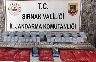 Şırnak’ta 3 milyon değerinde kaçak ürünler...