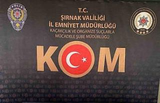 Şırnak’ta polis operasyonlarında 27 şüpheli...